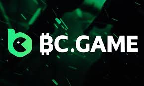 Understanding BC.Game Payments A Comprehensive Guide 2039530892